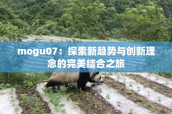 mogu07：探索新趋势与创新理念的完美结合之旅