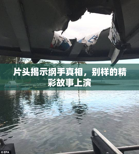 片头揭示纲手真相，别样的精彩故事上演