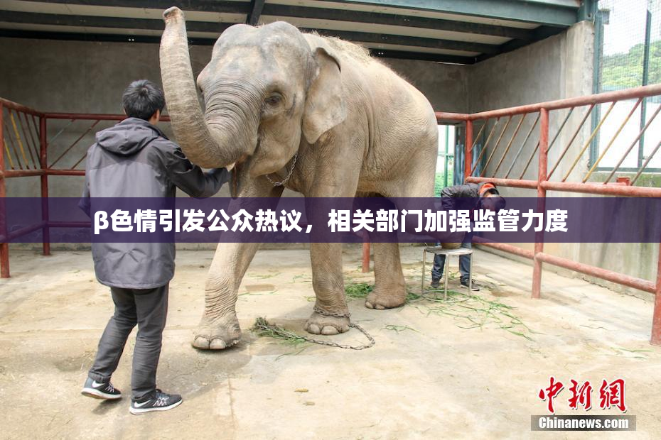 β色情引发公众热议，相关部门加强监管力度