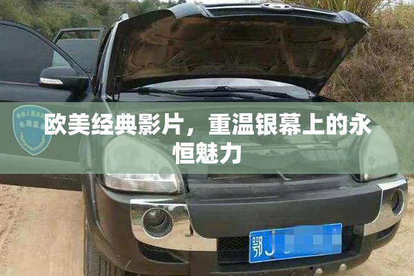 欧美经典影片，重温银幕上的永恒魅力