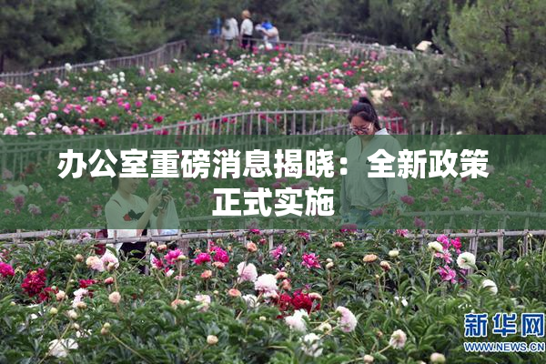 办公室重磅消息揭晓：全新政策正式实施