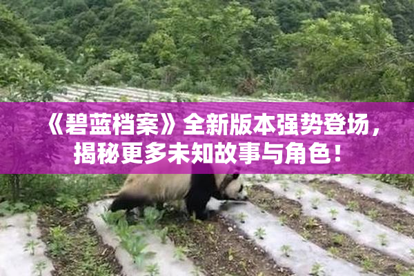 《碧蓝档案》全新版本强势登场，揭秘更多未知故事与角色！