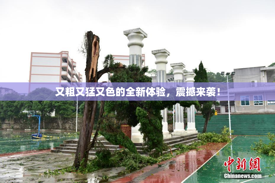 又粗又猛又色的全新体验，震撼来袭！