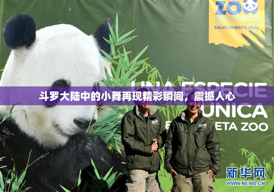斗罗大陆中的小舞再现精彩瞬间，震撼人心