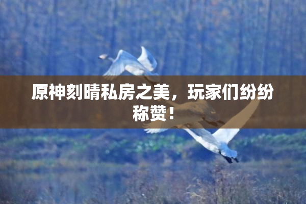 原神刻晴私房之美，玩家们纷纷称赞！