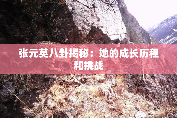 张元英八卦揭秘：她的成长历程和挑战