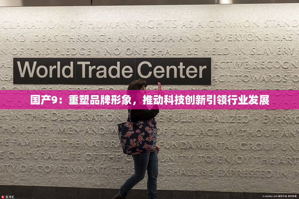 国产9：重塑品牌形象，推动科技创新引领行业发展