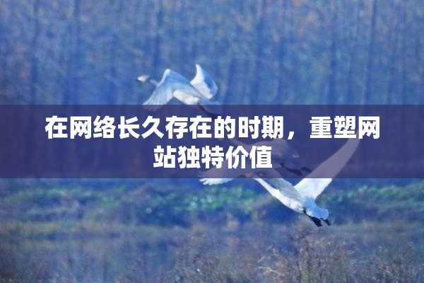 在网络长久存在的时期，重塑网站独特价值