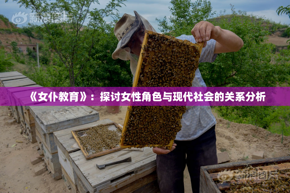 《女仆教育》：探讨女性角色与现代社会的关系分析