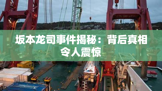 坂本龙司事件揭秘：背后真相令人震惊
