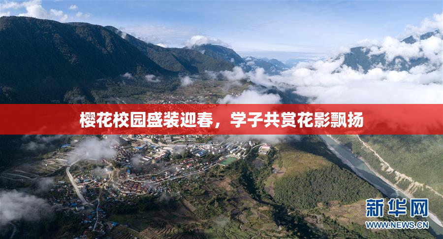 樱花校园盛装迎春，学子共赏花影飘扬
