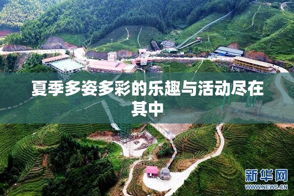 夏季多姿多彩的乐趣与活动尽在其中