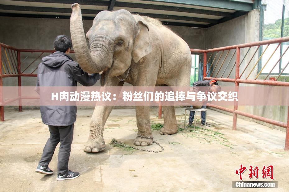 H肉动漫热议：粉丝们的追捧与争议交织