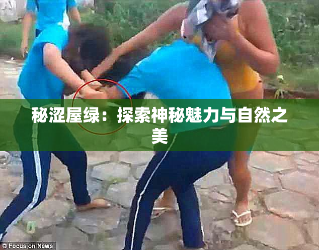 秘涩屋绿：探索神秘魅力与自然之美