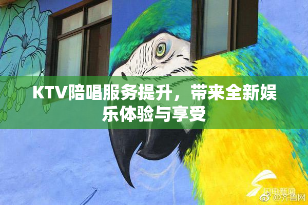 KTV陪唱服务提升，带来全新娱乐体验与享受