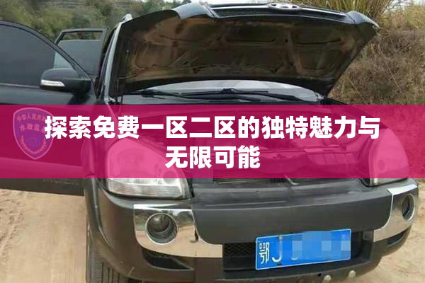 探索免费一区二区的独特魅力与无限可能