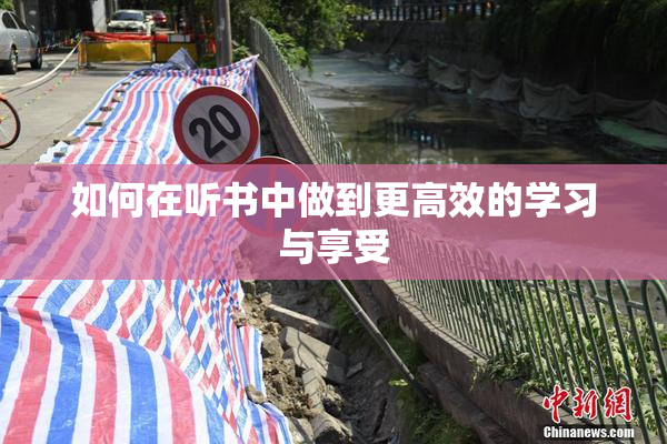如何在听书中做到更高效的学习与享受