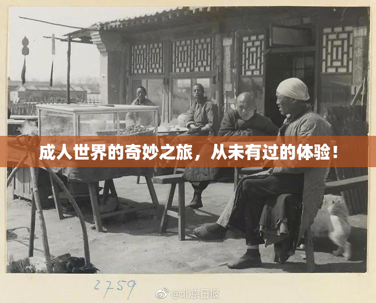 成人世界的奇妙之旅，从未有过的体验！