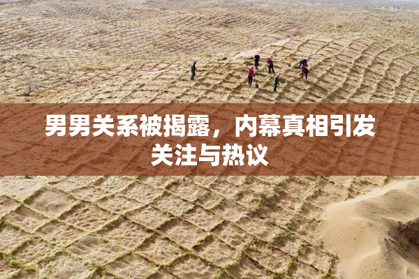 男男关系被揭露，内幕真相引发关注与热议