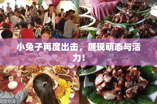 小兔子再度出击，展现萌态与活力！