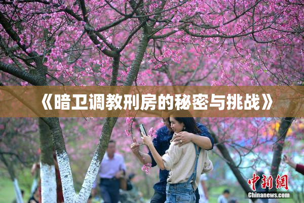 《暗卫调教刑房的秘密与挑战》