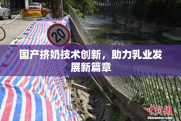国产挤奶技术创新，助力乳业发展新篇章