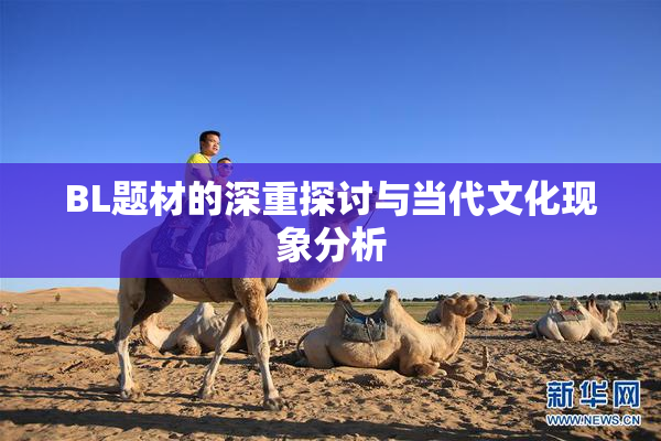 BL题材的深重探讨与当代文化现象分析
