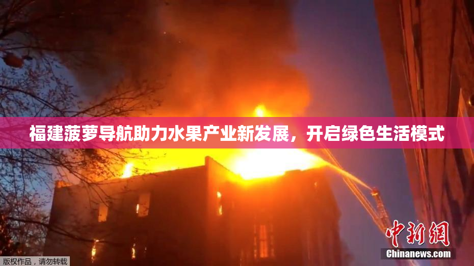 福建菠萝导航助力水果产业新发展，开启绿色生活模式