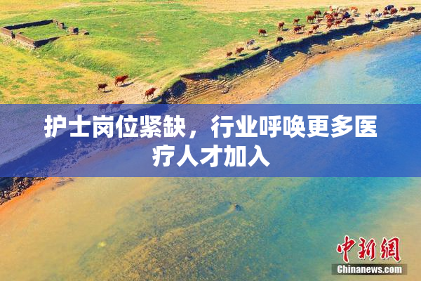 护士岗位紧缺，行业呼唤更多医疗人才加入