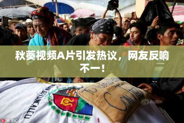 秋葵视频A片引发热议，网友反响不一！