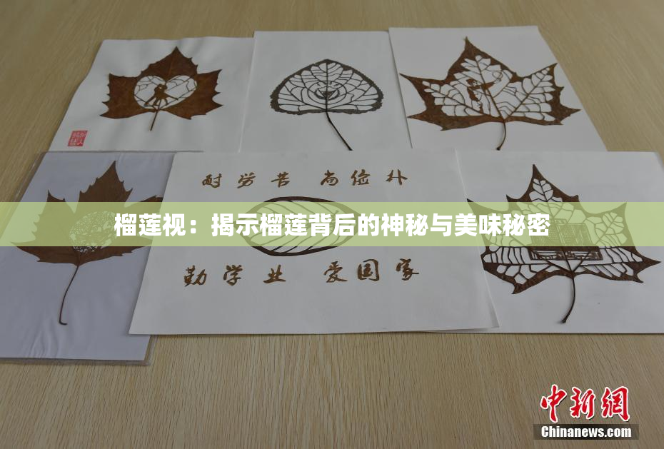 榴莲视：揭示榴莲背后的神秘与美味秘密