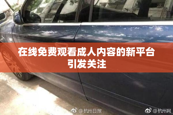 在线免费观看成人内容的新平台引发关注