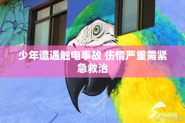 少年遭遇触电事故 伤情严重需紧急救治