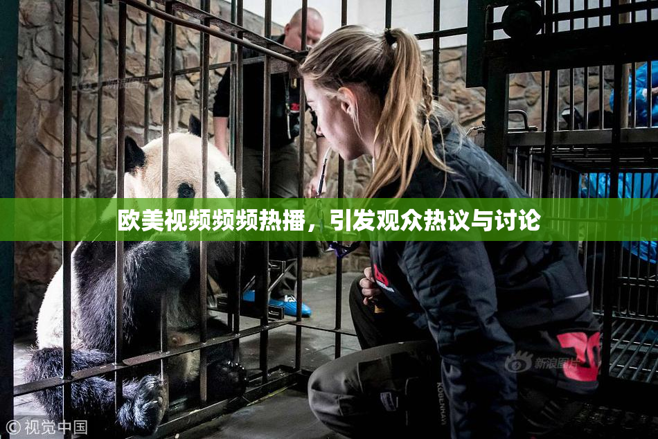 欧美视频频频热播，引发观众热议与讨论