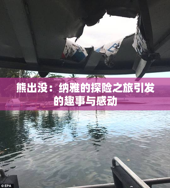 熊出没：纳雅的探险之旅引发的趣事与感动