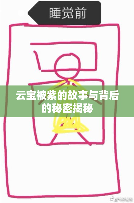 云宝被紫的故事与背后的秘密揭秘