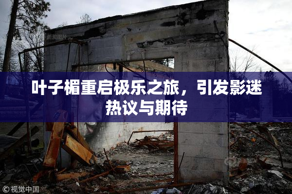叶子楣重启极乐之旅，引发影迷热议与期待