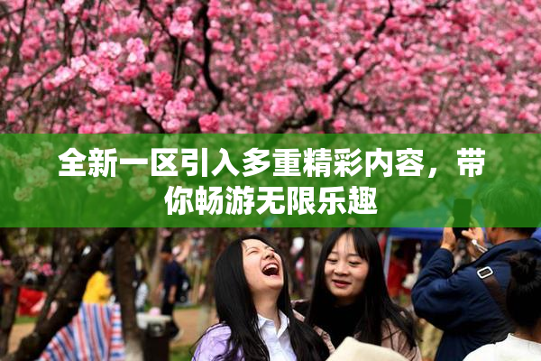 全新一区引入多重精彩内容，带你畅游无限乐趣