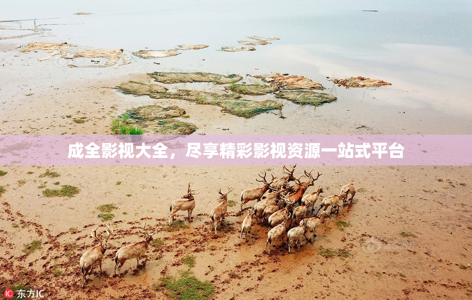 成全影视大全，尽享精彩影视资源一站式平台