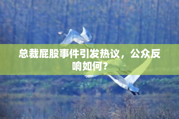 总裁屁股事件引发热议，公众反响如何？