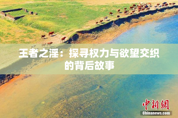 王者之淫：探寻权力与欲望交织的背后故事