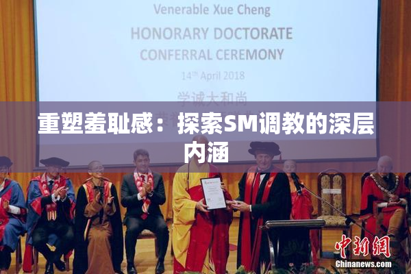 重塑羞耻感：探索SM调教的深层内涵