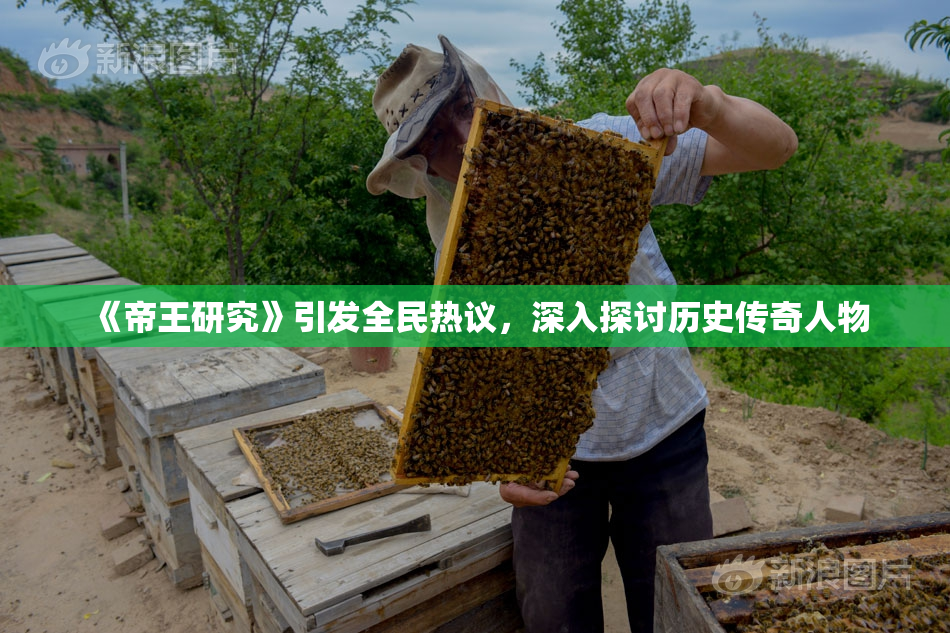 《帝王研究》引发全民热议，深入探讨历史传奇人物