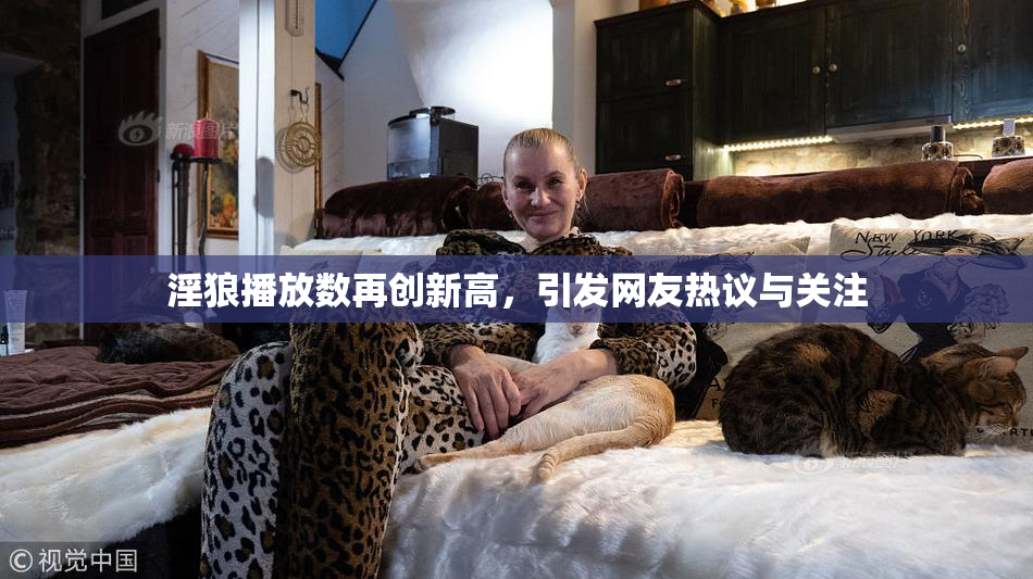 淫狼播放数再创新高，引发网友热议与关注
