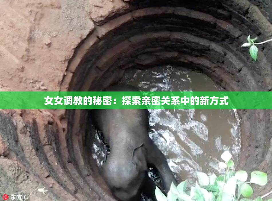 女女调教的秘密：探索亲密关系中的新方式