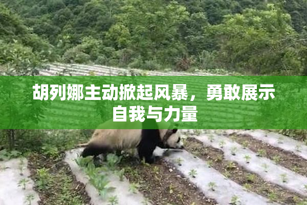 胡列娜主动掀起风暴，勇敢展示自我与力量