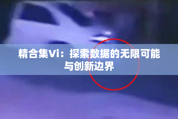 精合集Vi：探索数据的无限可能与创新边界