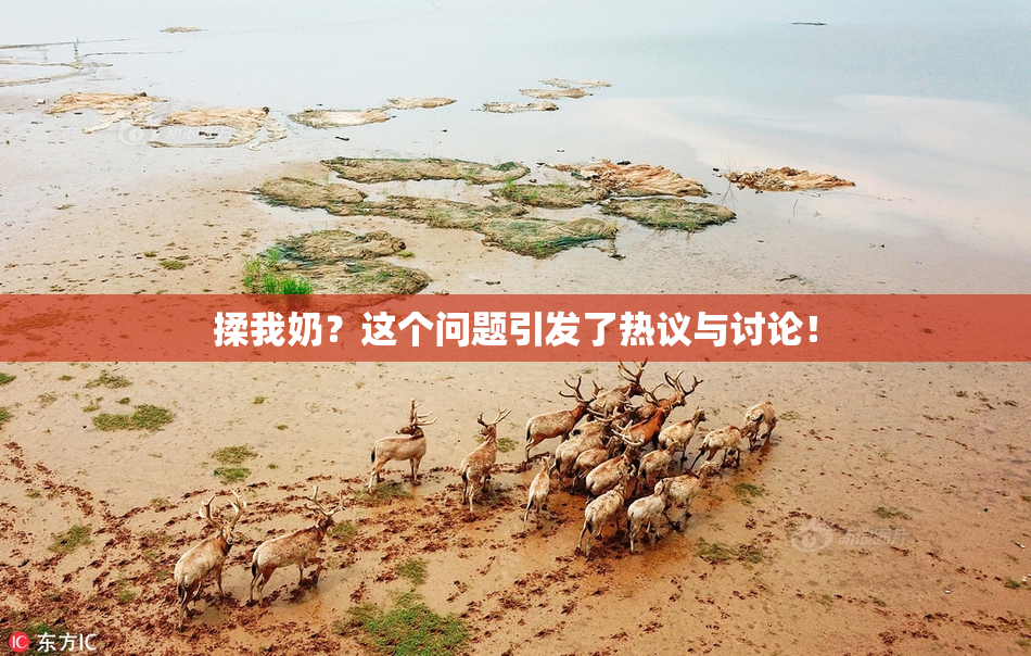 揉我奶？这个问题引发了热议与讨论！