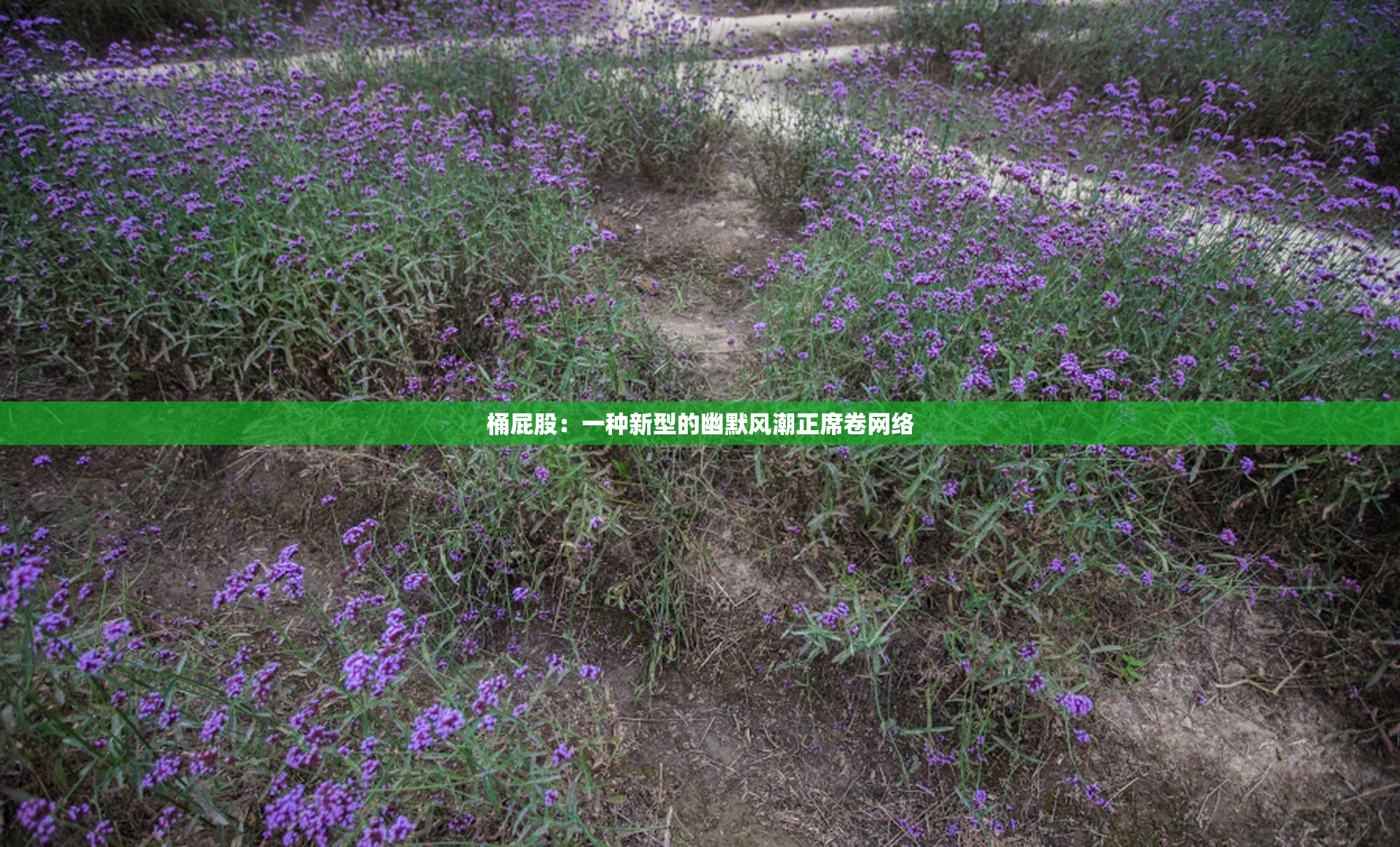 桶屁股：一种新型的幽默风潮正席卷网络
