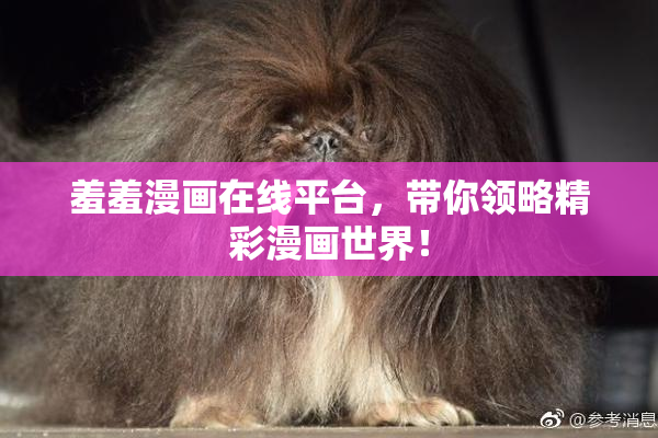 羞羞漫画在线平台，带你领略精彩漫画世界！